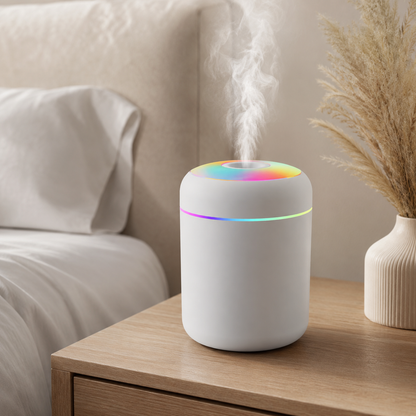 Portable Mini Humidifier